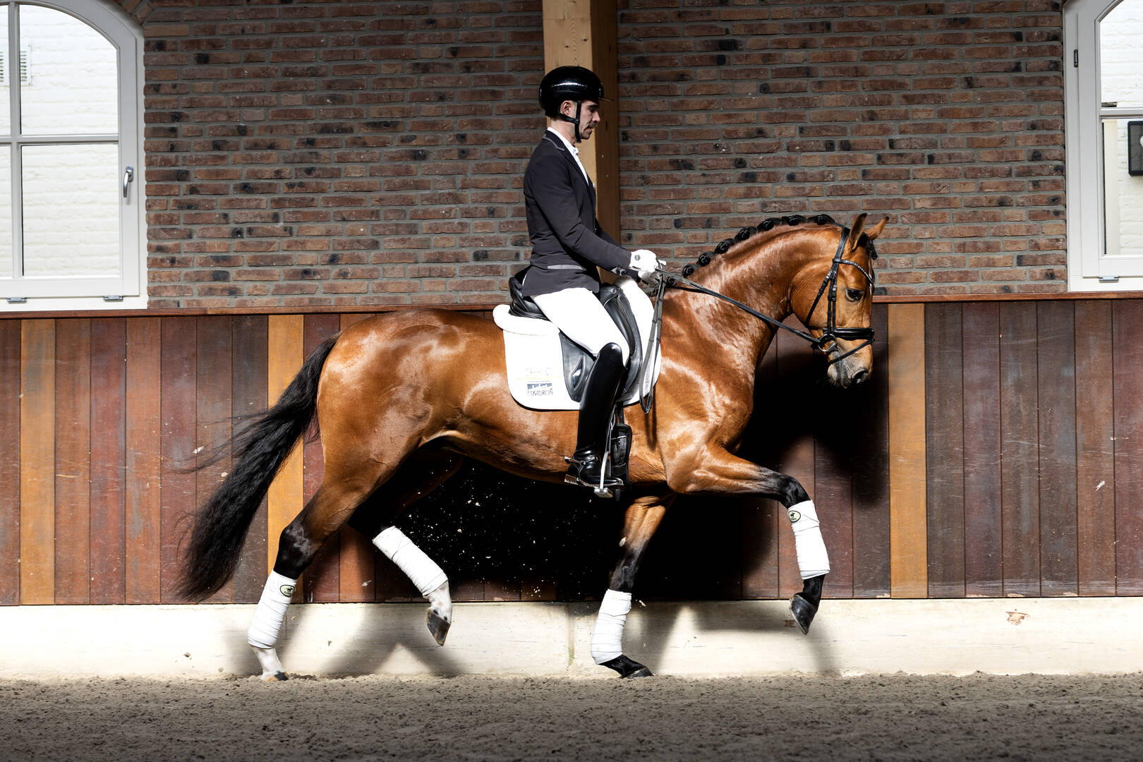 Excellent Dressage Sales op weg naar een nieuwe collectie dressuurkampioenen