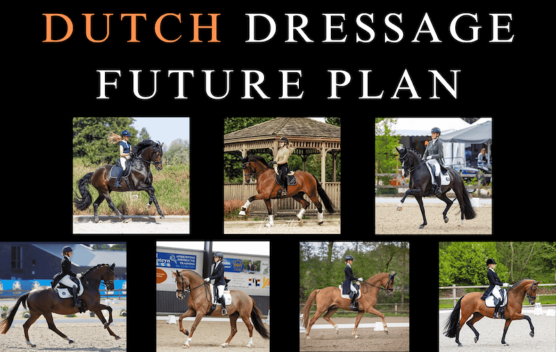 Clinic Dutch Dressage Future Plan: harmony in dressage