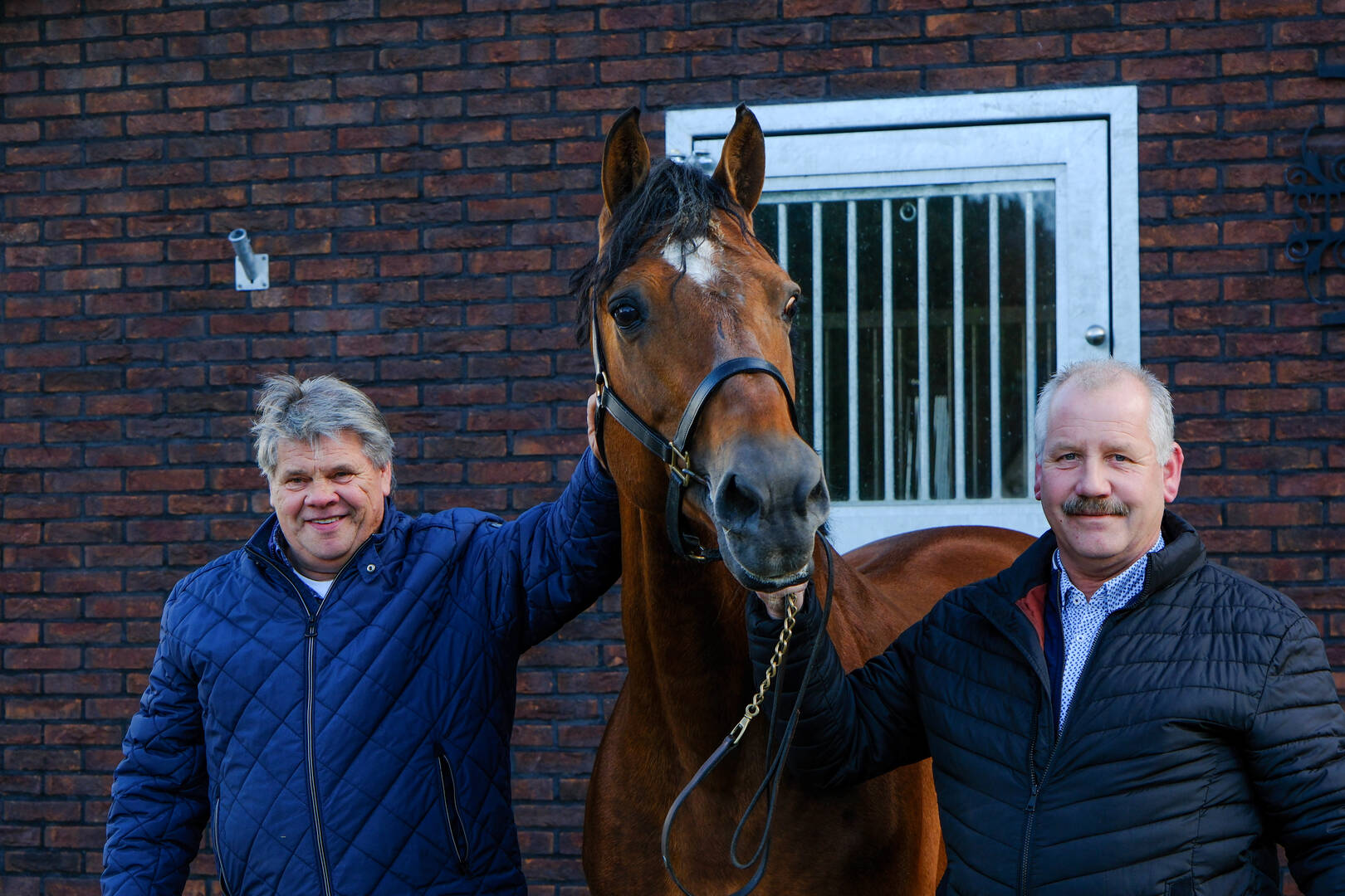 KWPN Magazine | Theo Janssen: "Een Gelders paard moet meteen herkenbaar zijn"