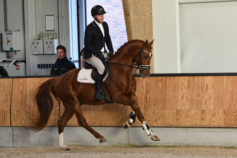 Royal King submitted for performance test