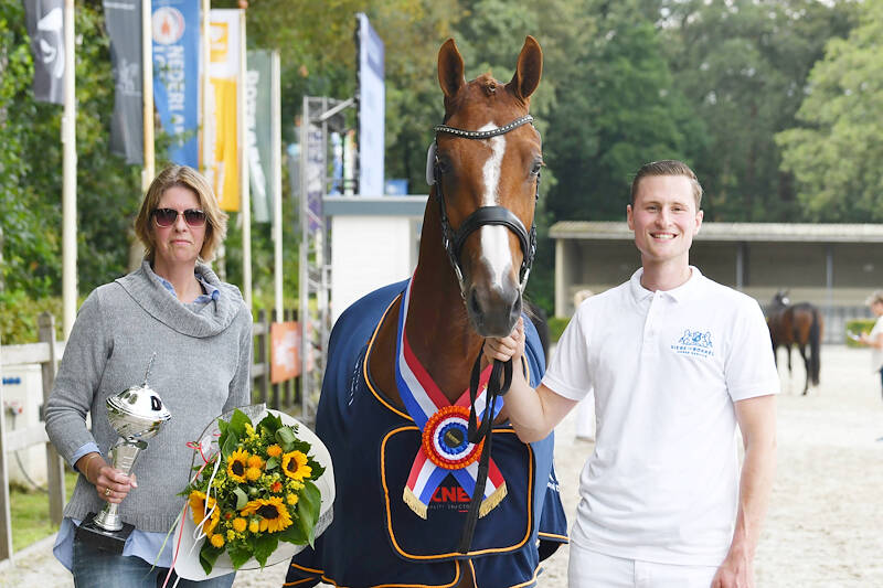 KWPN Magazine | Wemke Staatsen: "We hebben met het Gelders paard een mooie toekomst voor ons"