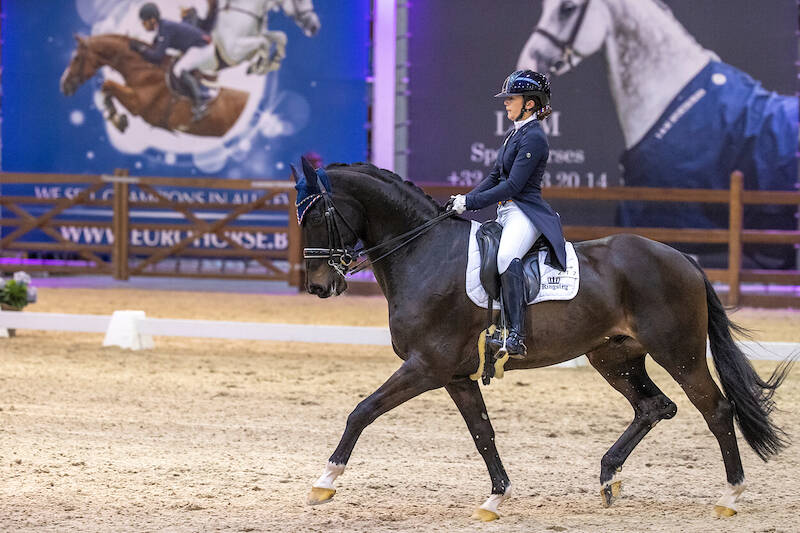 EK Paradressuur: Caramba N.O.P. naar zilveren medaille