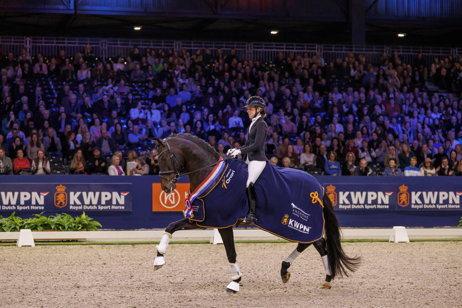 Sportieve groei in het showblok Road to the top tijdens de KWPN Stallion Show