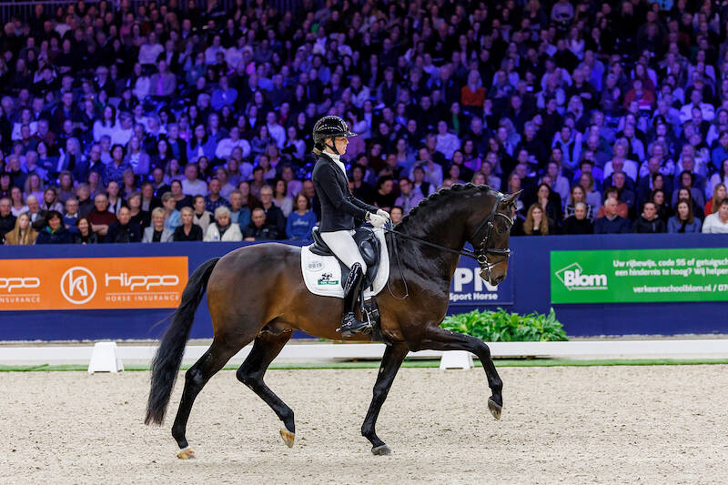 Bekijk of bezoek de Anemone Horse Trucks Hengstencompetitie Dressuur in Ermelo