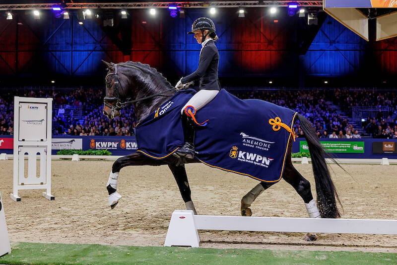 Start lists for Stallion Competition Kronenberg announced