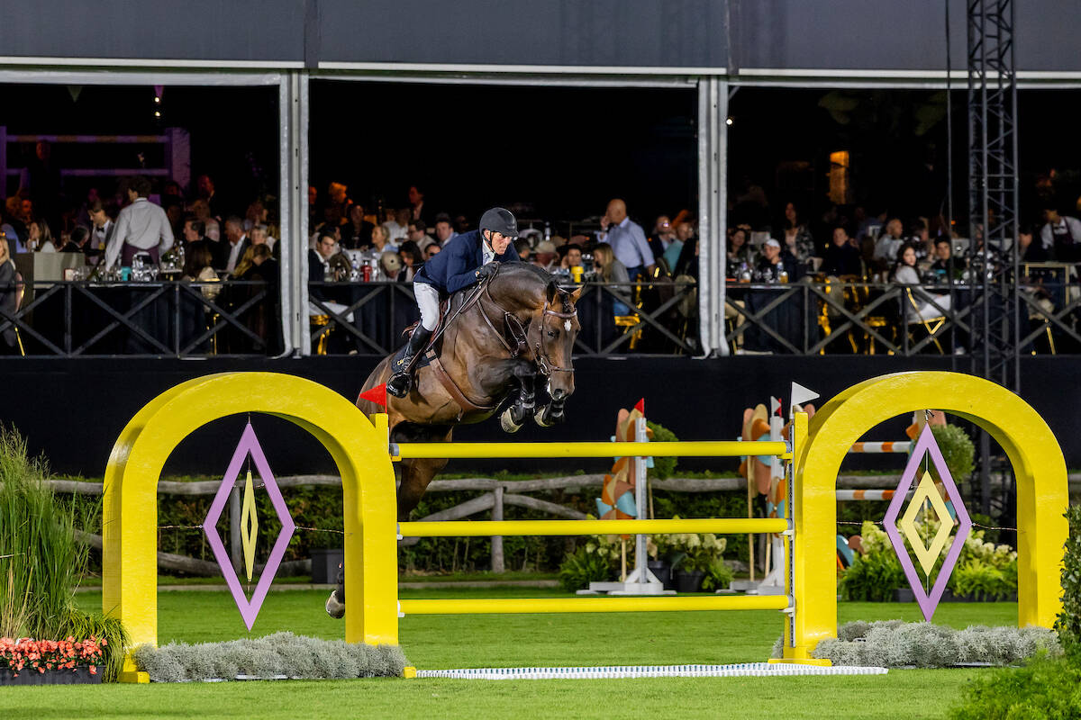 KWPN-erkende Cote d’Or Z wint GP Opglabbeek