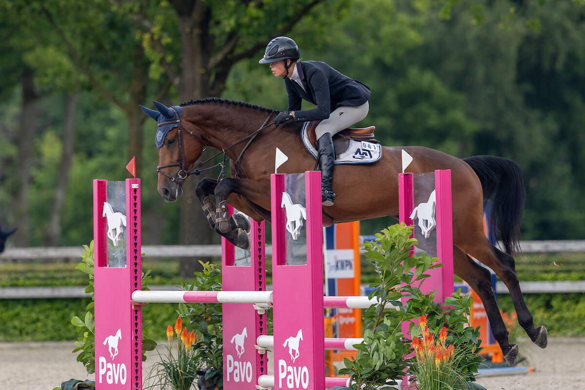 Arezzo VDL-zoon Rambo J.O. wint halve finale vierjarigen