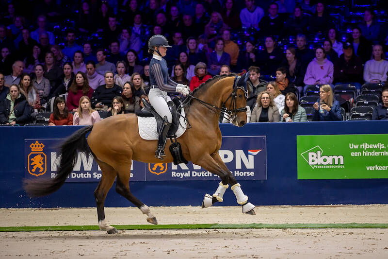 Dutch Dressage Future Plan: young talent on the road to the top