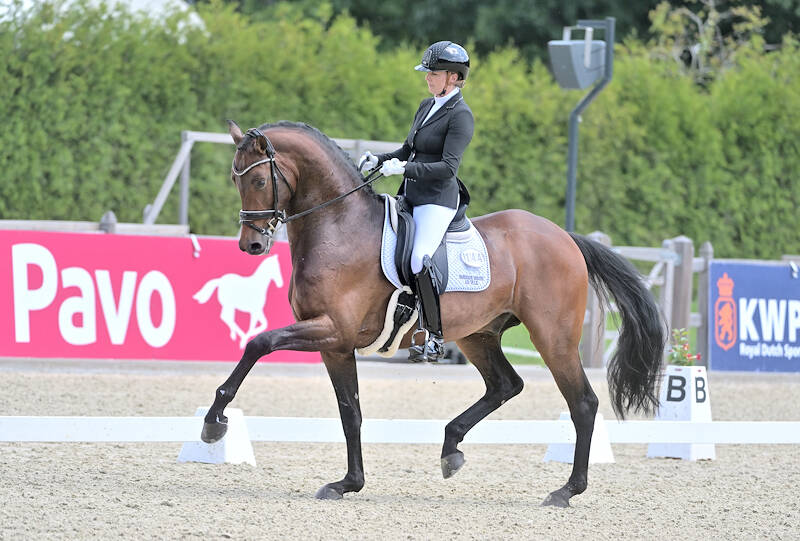 Opwaartse Pfaff imponeert in Pavo Cup Deurne