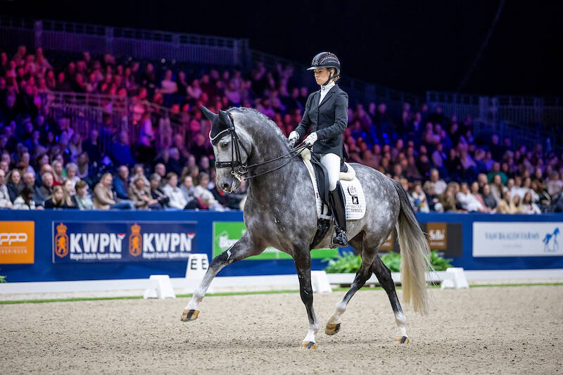 IJverige Everest wint Anemone Horse Trucks Hengstencompetitie klasse Z