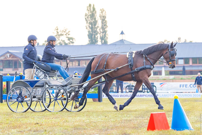 WC for Young Driving Horses: Silver Medal for KWPN Horses Oh La La La SH and Milo V