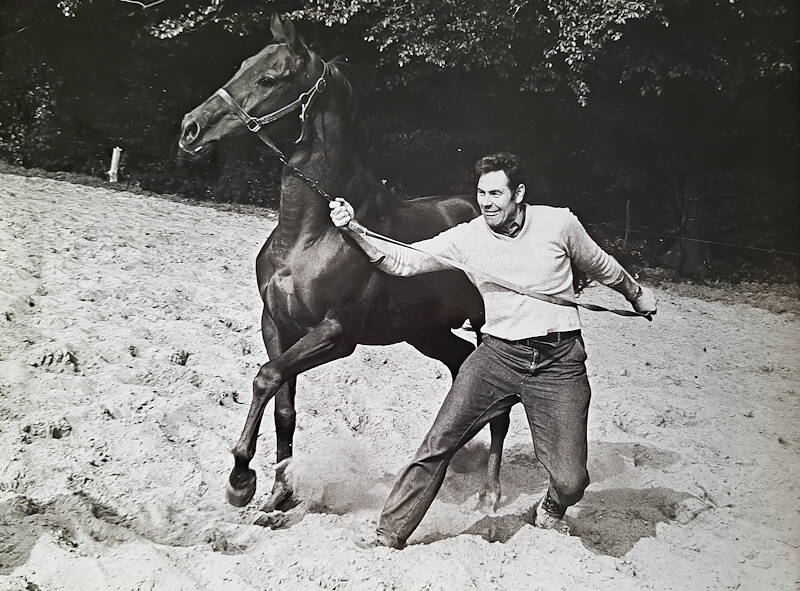 Hennie Borghuis (88) overleden