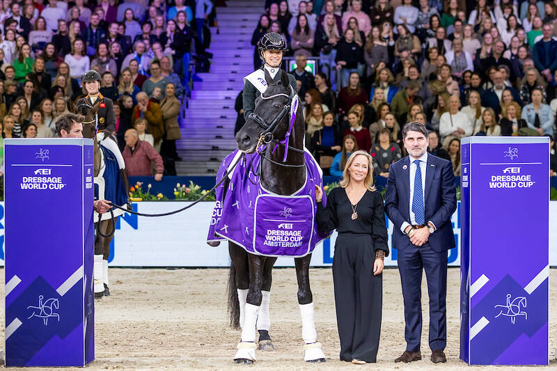 Kür-winnaar Glamourdale volgende week op KWPN Stallion Show