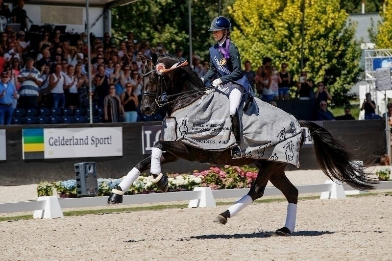 Toppers van de toekomst op het WK voor Jonge Dressuurpaarden