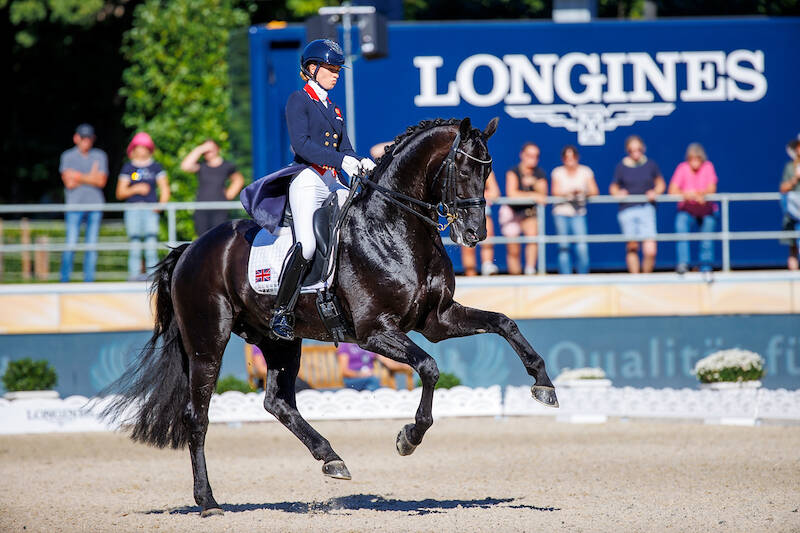 Last chance: Vote for KWPN Horse of the Year Dressage 2024