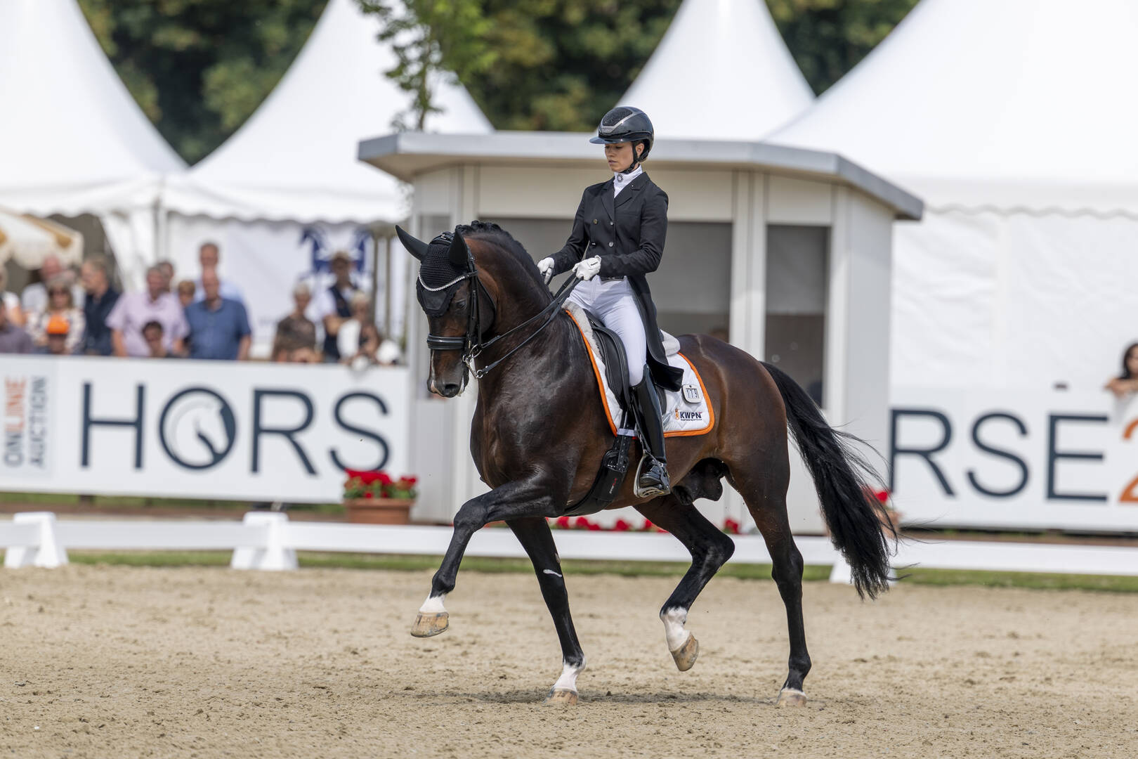 Ilegro en Charlotte Fry naar knappe tweede plaats in kwalificatie Zevenjarigen