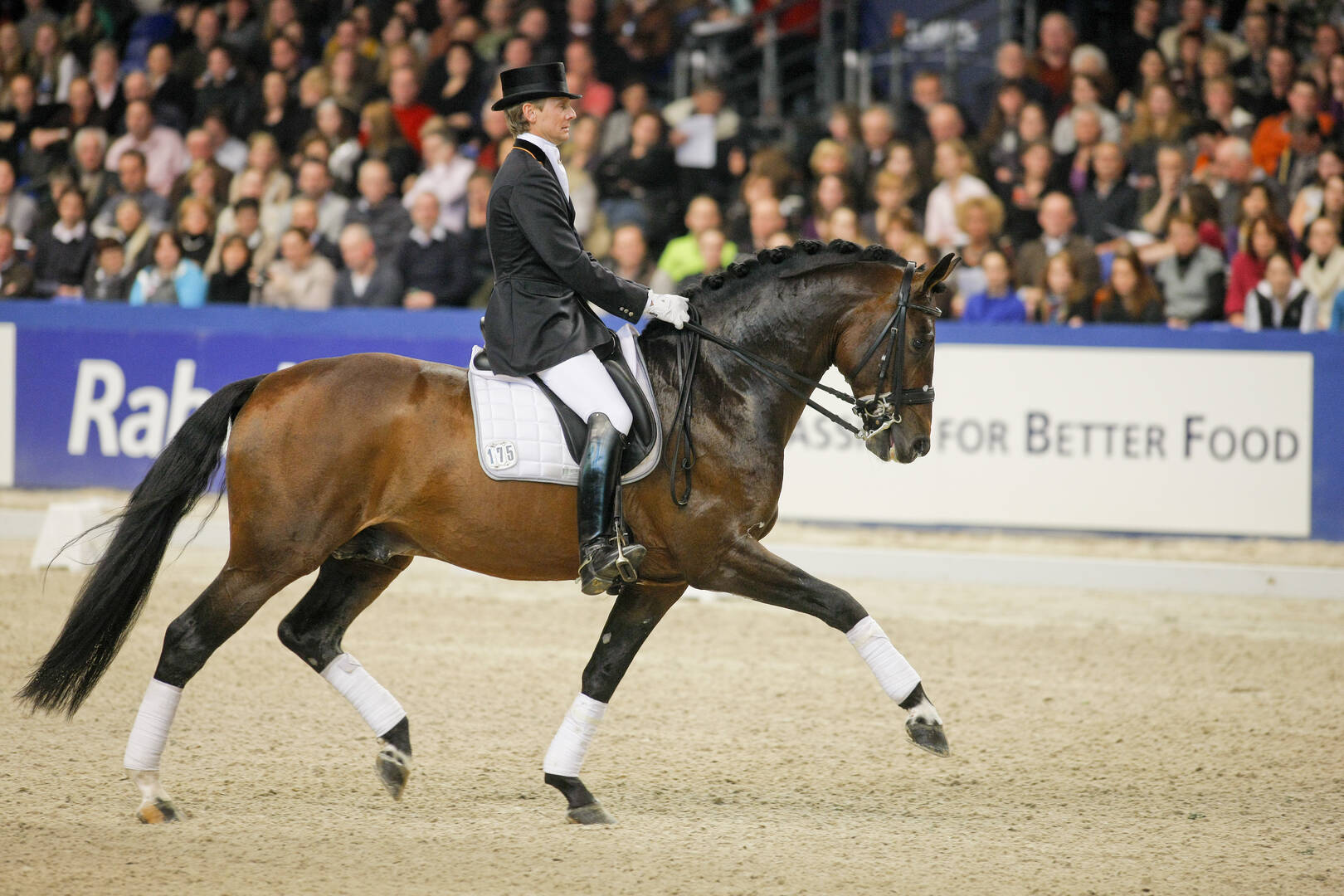 KWPN-goedgekeurde hengst Santano overleden