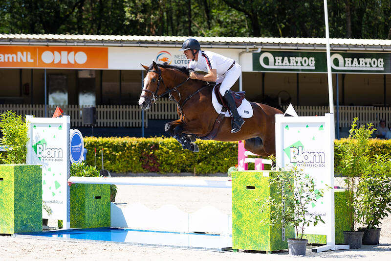 Four Breeding Products of Moerings to Final for Five-Year-Olds