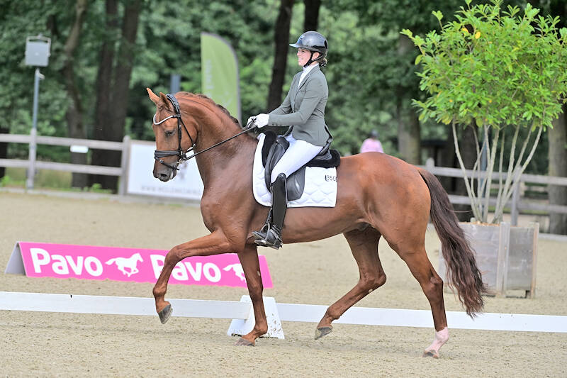 Red Rock wint met veel harmonie Pavo Cup Deurne