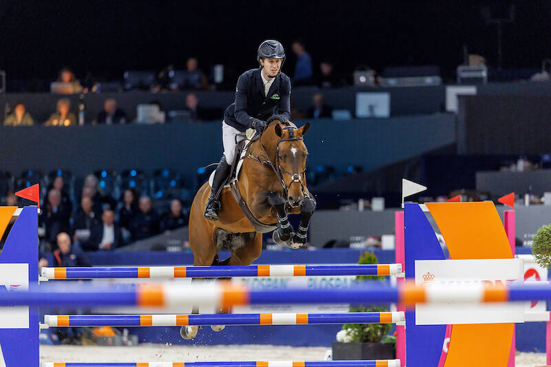 Bekijk of bezoek de Blom Hengstencompetitie Springen in IJsselmuiden