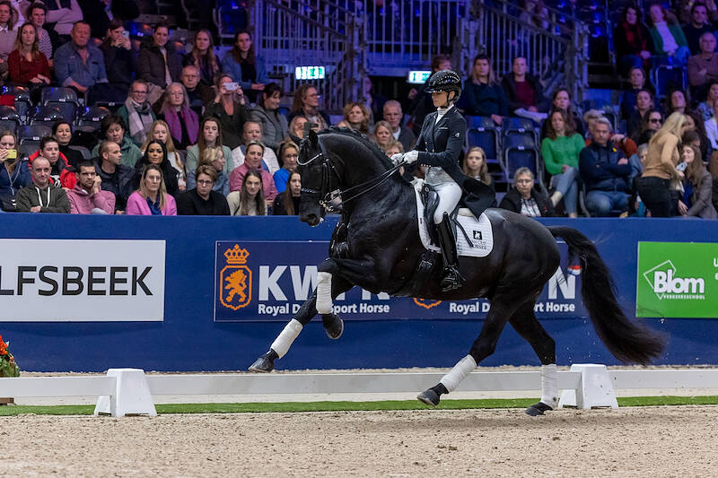 Laatste kans om te stemmen op Horse of the Year 2025