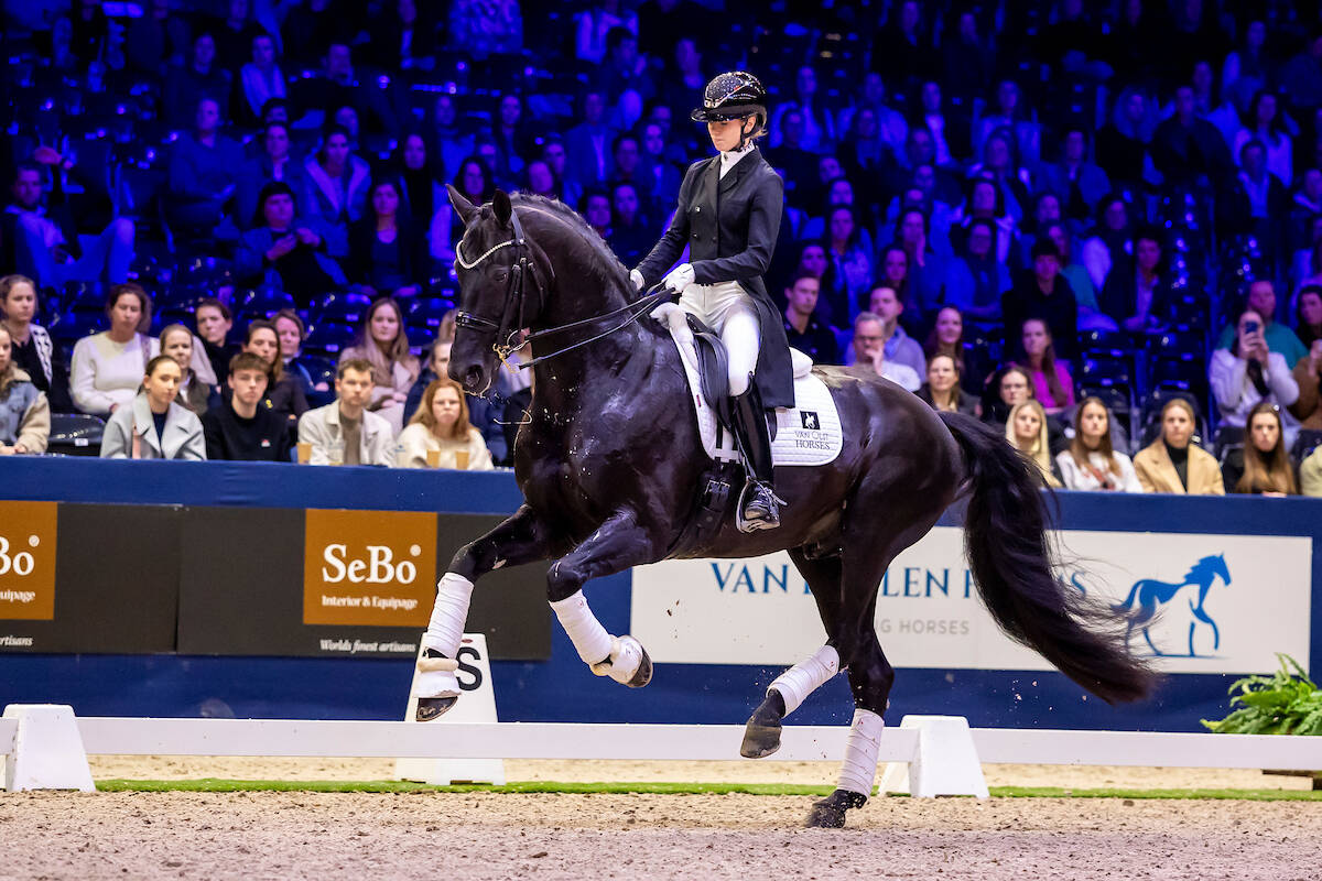 Nederlandse dressuurpaardenfokkers zijn weer de beste van de wereld