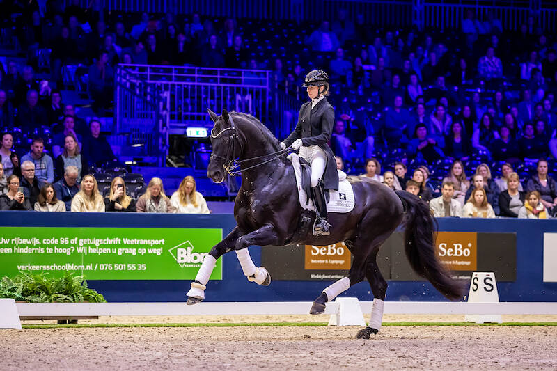 Glamourdale schittert als KWPN Horse of the Year 2024