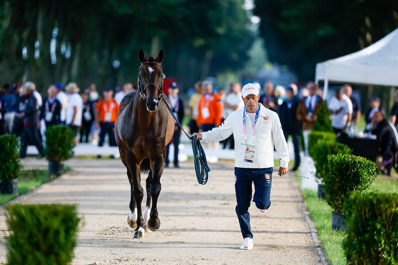 OS Parijs: Alle Nederlandse springpaarden goed door de keuring