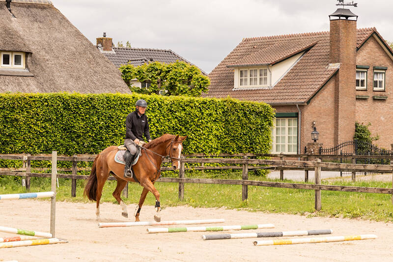 KWPN Magazine | Jan Litjens: Bijna driekwart eeuw paardenpassie