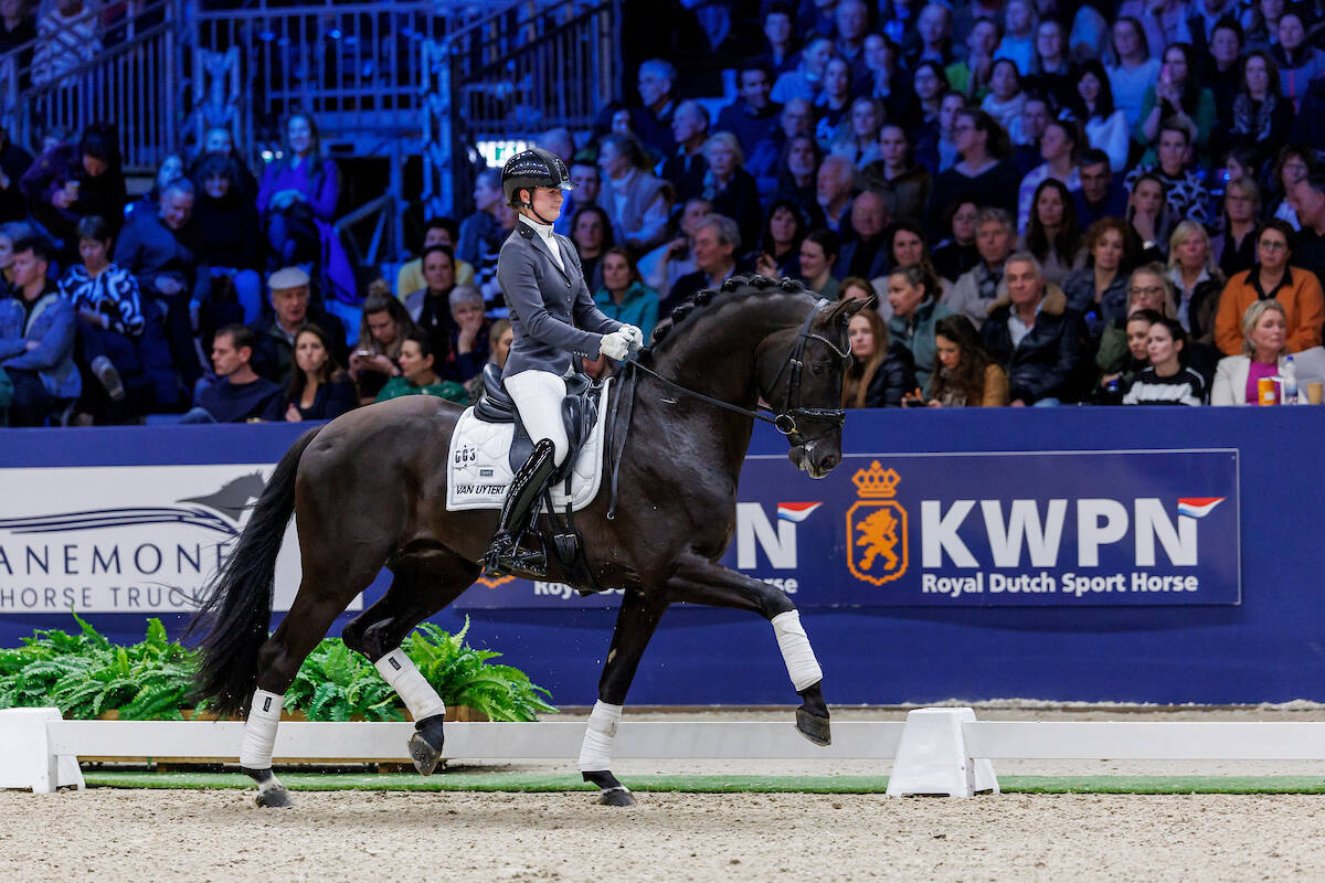 Vitalis en One Million best vertegenwoordigd op NVK