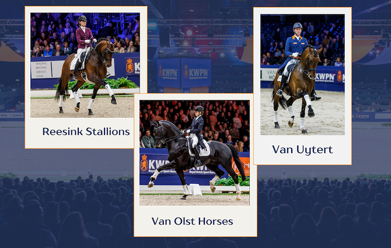 Bewezen en toekomsttalenten verzorgen shows tijdens KWPN Stallion Show