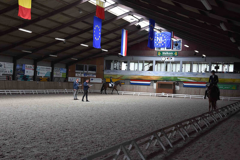 IBOP Zeeland: 82,5 voor Jameson RS2-dochter Rougette