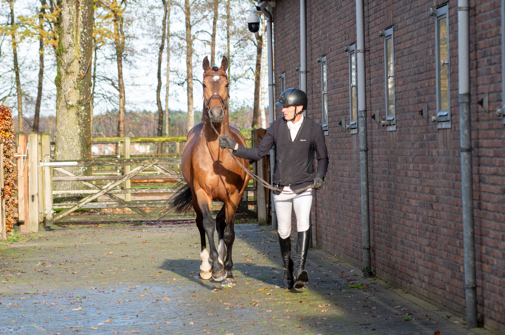 19 jumper stallions start performance test