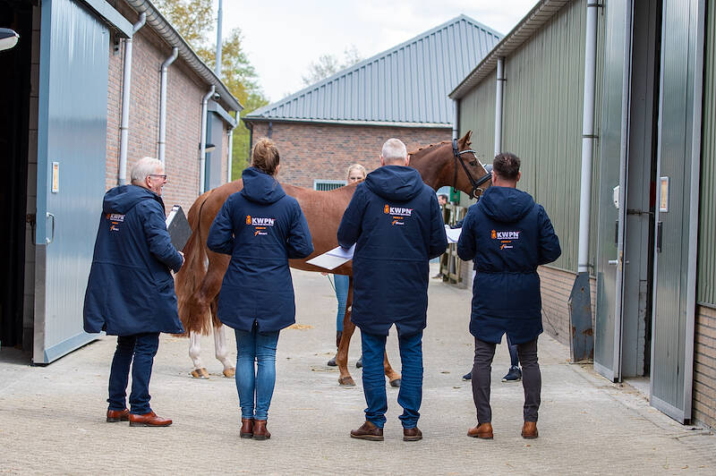 Startlijst eerste zadelpresentatie en de herkansing onder het zadel dressuurhengsten bekend