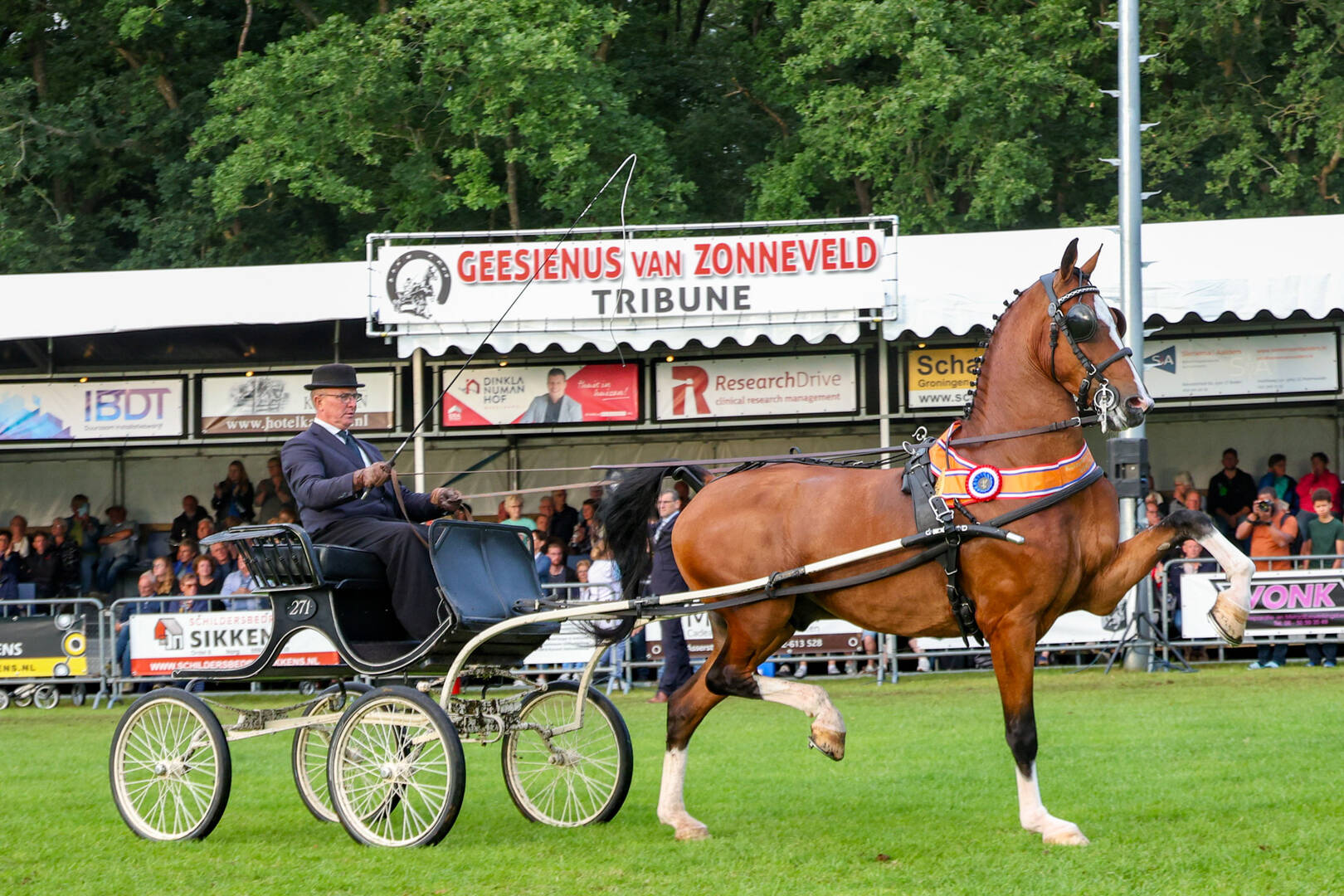 Pronkheer DHB wint op grootse wijze in Norg
