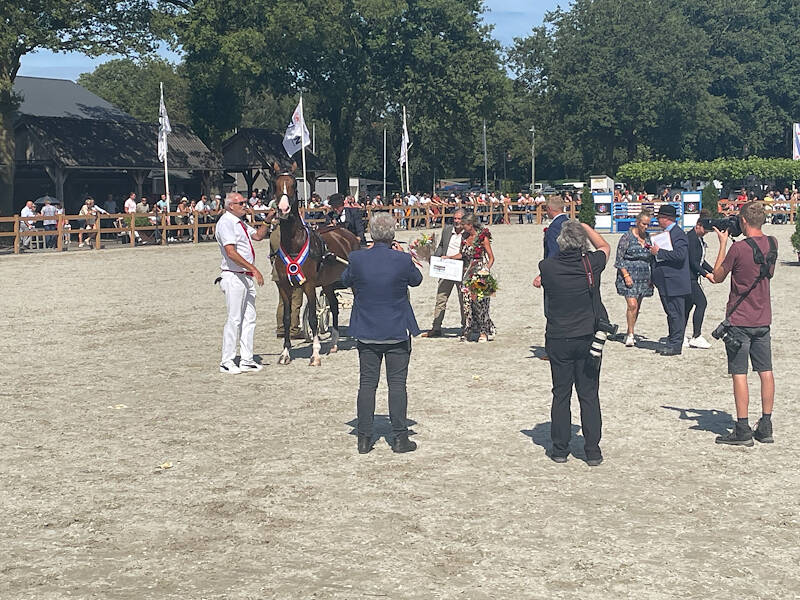 Renovo Schaal voor Lindrini