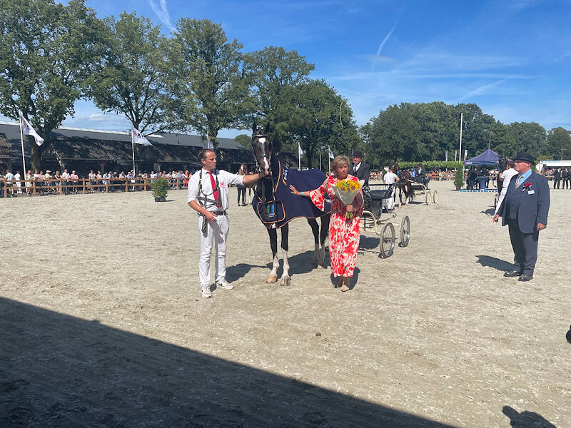 Oberon wint Westfort Hengstencompetitie