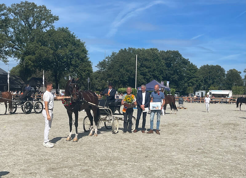 Jan Thijs Seinen benoemd tot Tuigpaardfokker van het Jaar