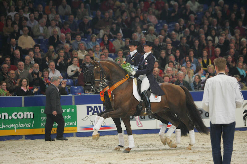 KWPN Magazine | De dressuurpaardenfokkerij in cijfers