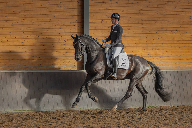 IBOP De Mortel: 86 punten voor Renate-Daula (v.My Romance)