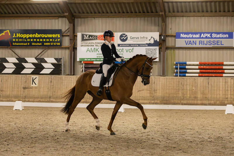 85 punten voor NMK-merrie Royal Indy VD op IBOP in Oirschot