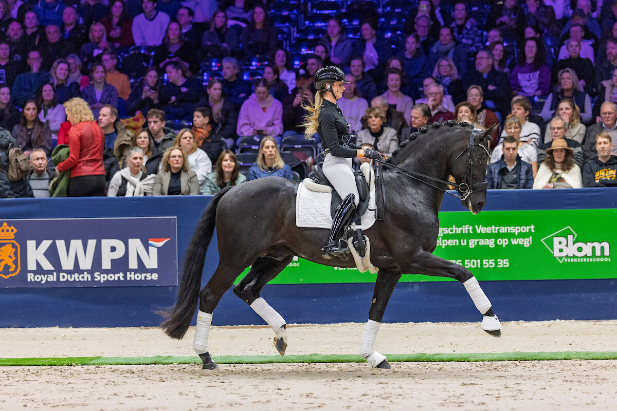Imposantos en Kyton scoren op CDI Kronenberg