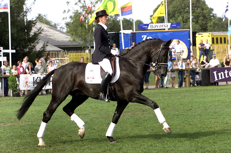 Pavo Cup Pearls: Nicolette van Leeuwen
