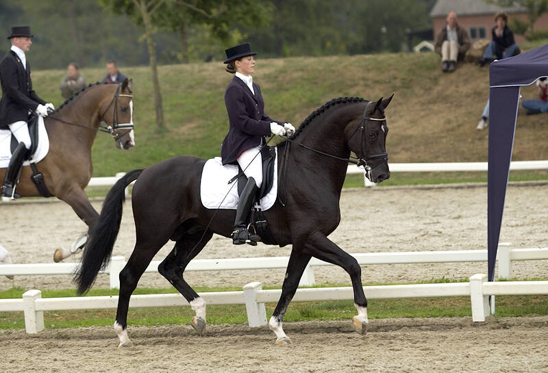 Pavo Cup Parels: Sarah van Fessem
