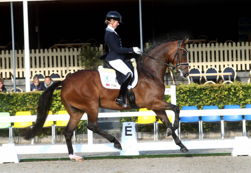 Pavo Cup-parels: Svenja Grimm