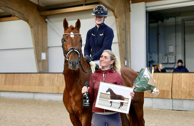 Approval for Gelder stallion Royal King
