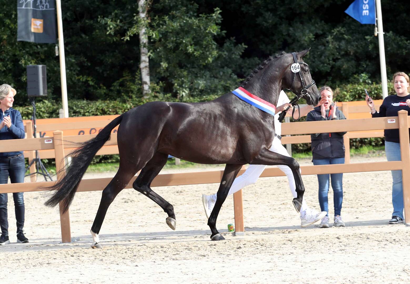 Sophie Anne Maria lives up to her favorite role at the National Mare Inspection