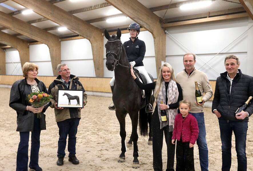 KWPN-dekbrevet voor twee KSS-hengsten