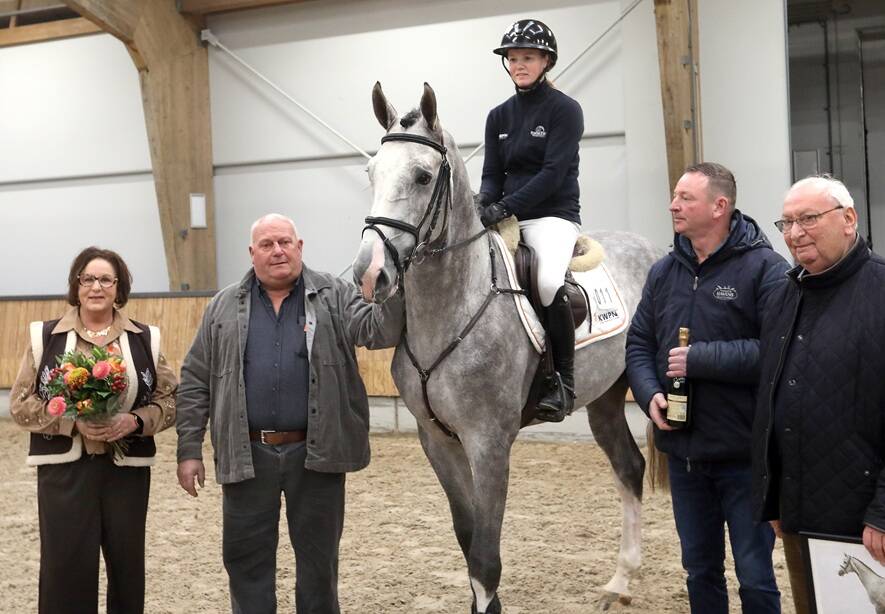 Stallion Collection Expanded with Twelve Jumper Stallions