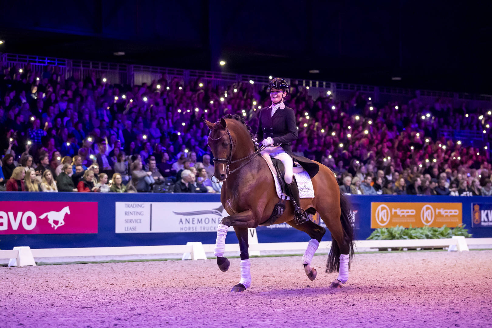 Beleef de Stars of the Future tijdens de KWPN Stallion Show